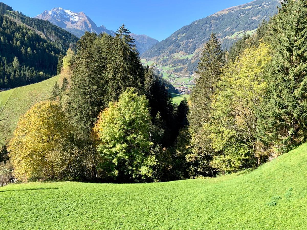 Natur Zeit - Alpine Garden Apartments Mayrhofen Extérieur photo