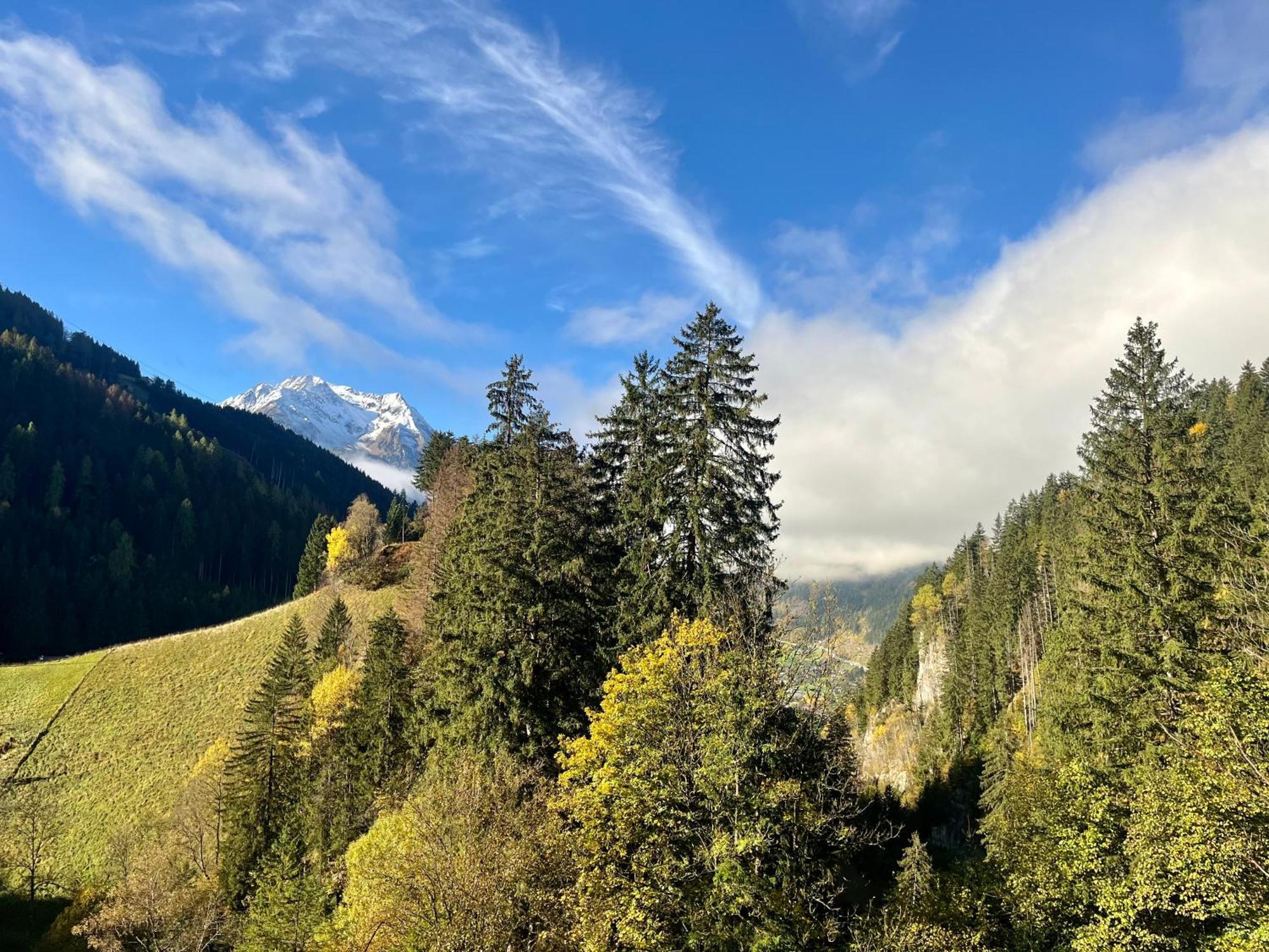 Natur Zeit - Alpine Garden Apartments Mayrhofen Extérieur photo